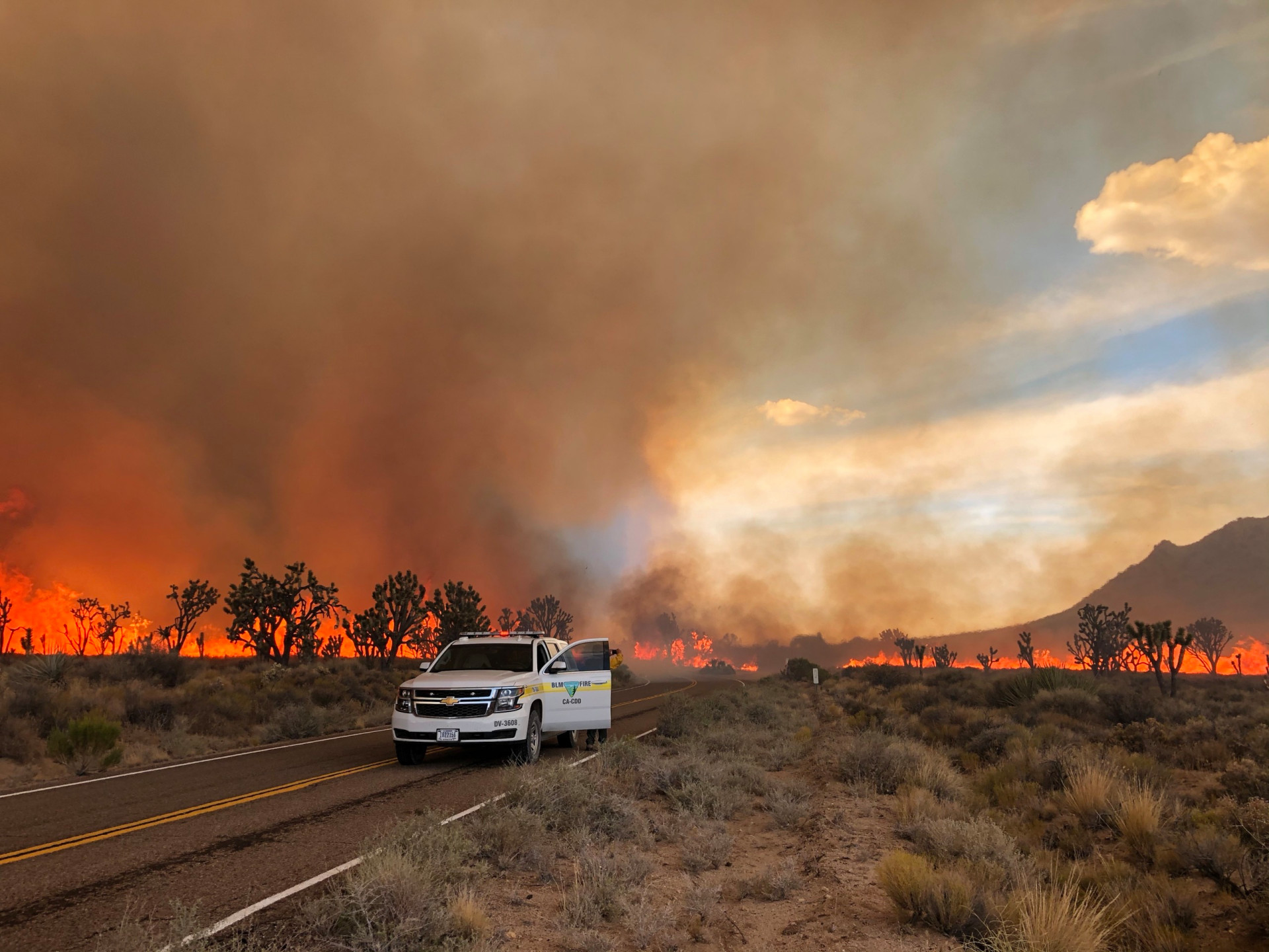 The Dome Fire, part of the extreme wildfire season seen in California in 2020, crosses Cima Road on August 16