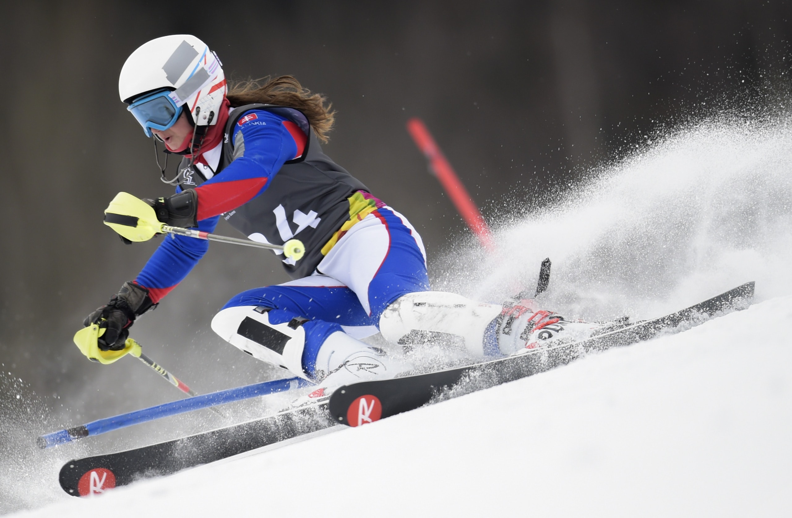 snow fossil fuel winter sport