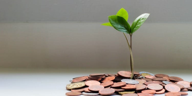 The European Central Bank’s New Climate Indicators