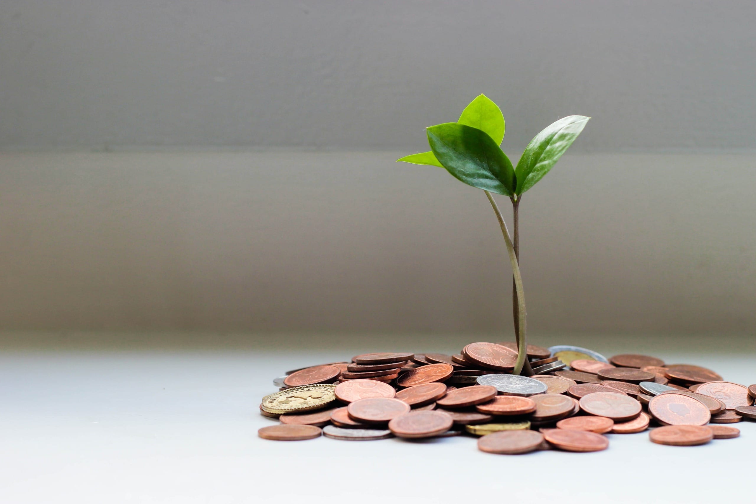 The European Central Bank’s New Climate Indicators