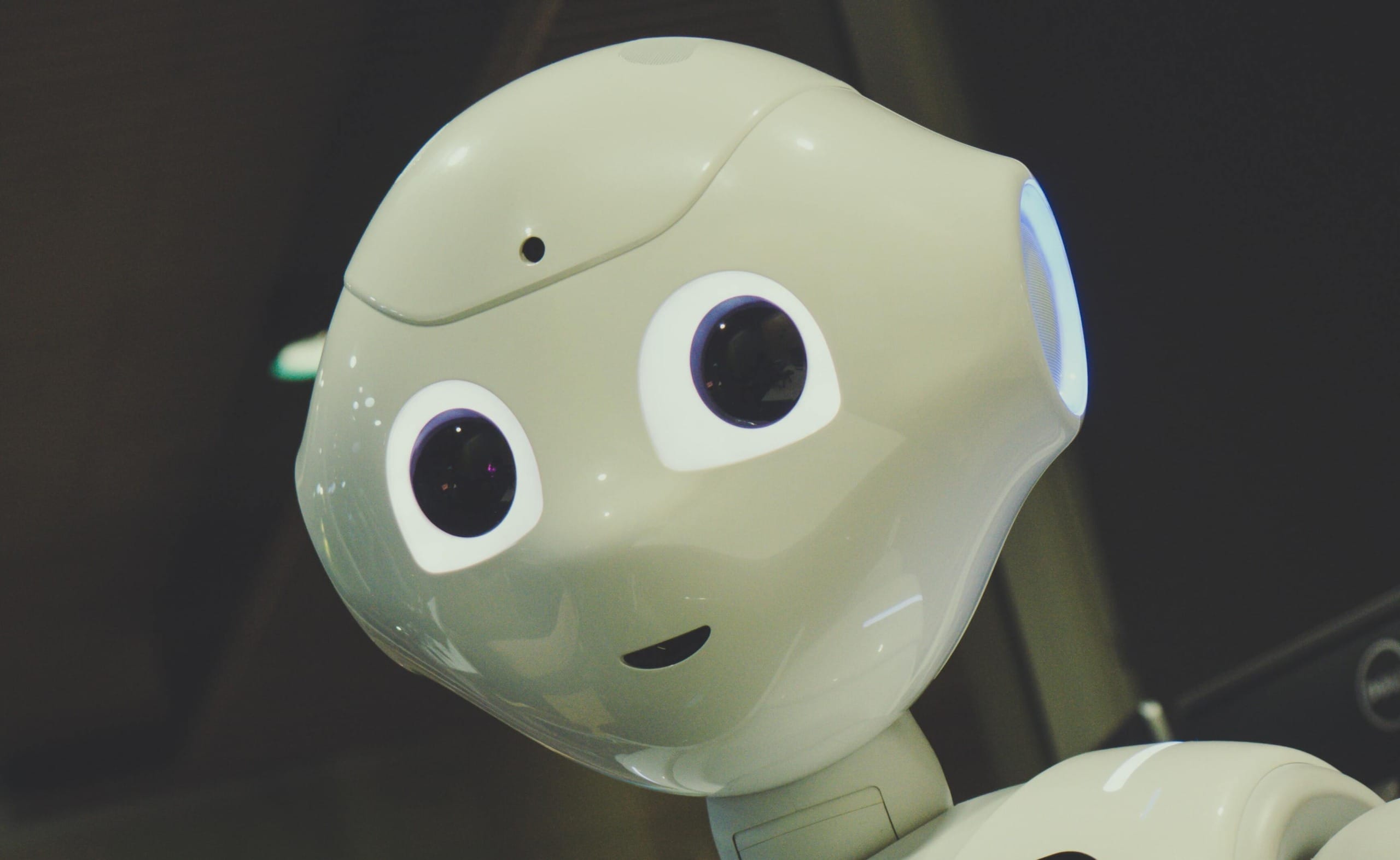 Our World Is Changing Ever Faster: What This Means For Our Survival