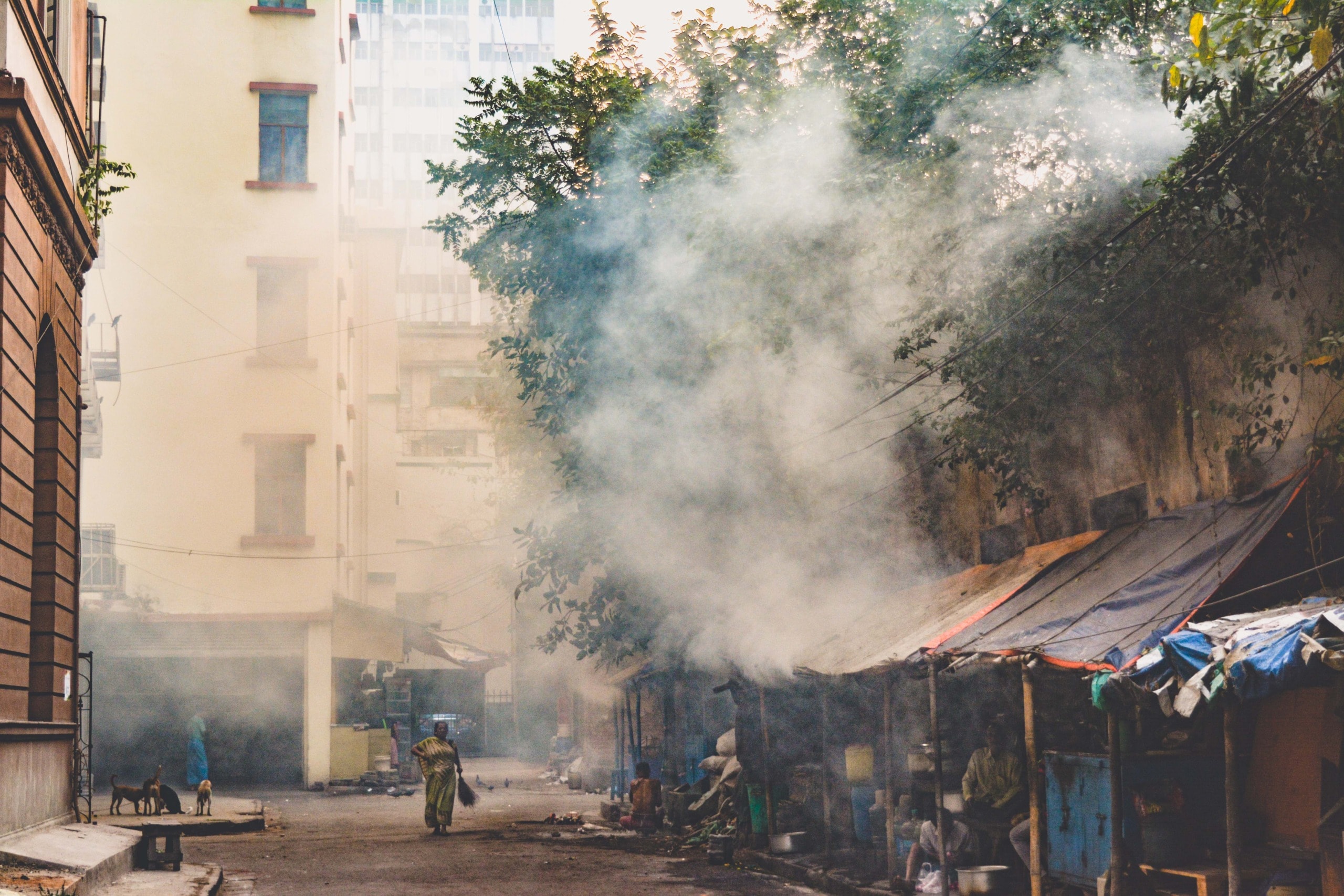 Woman walking the streets in Kolkata, India, a city heavily polluted by emissions alongside severe inequality