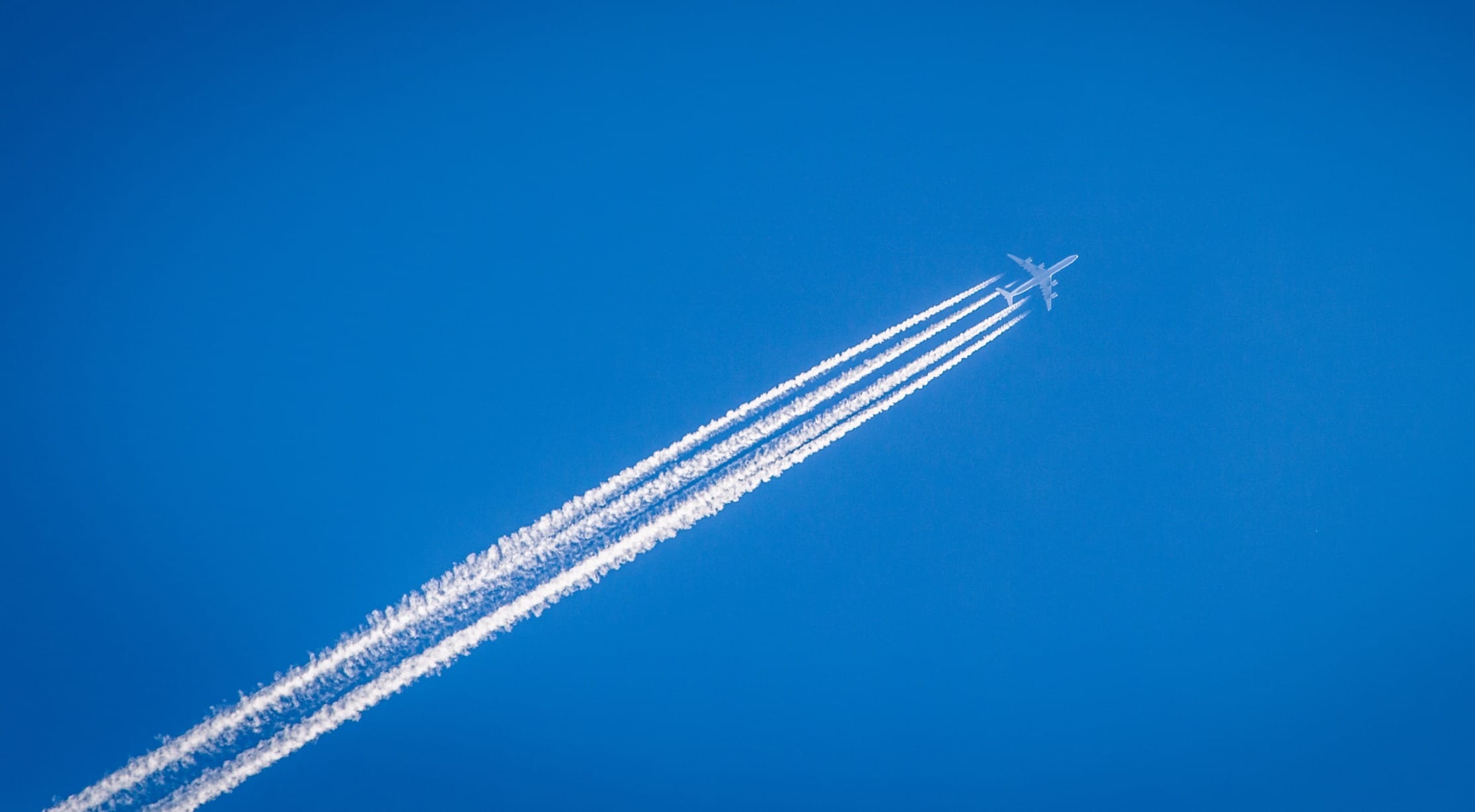 sustainable aviation fuel