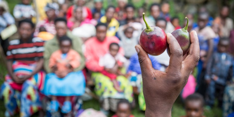 Malnutrition and learning loss