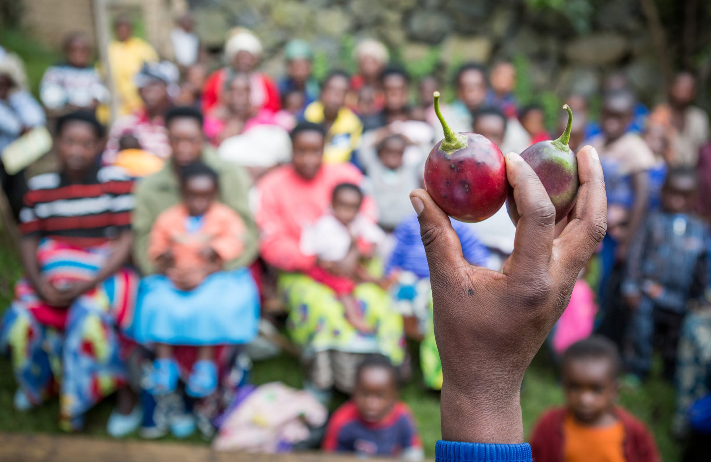 Malnutrition and learning loss