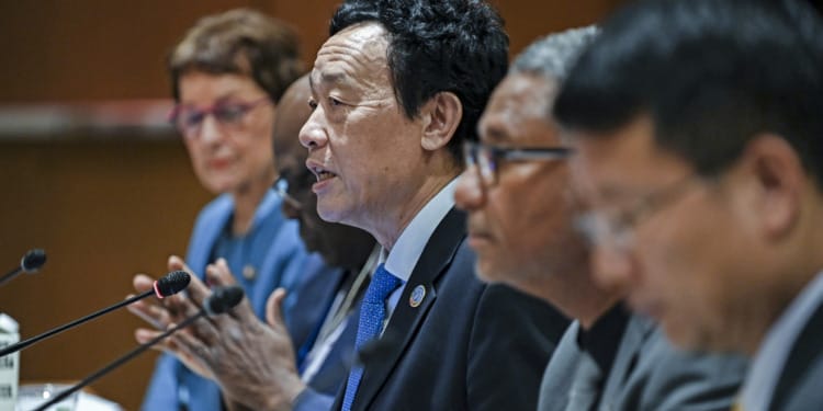 FAO Director-General speaking at theUN 2023 Water Conference