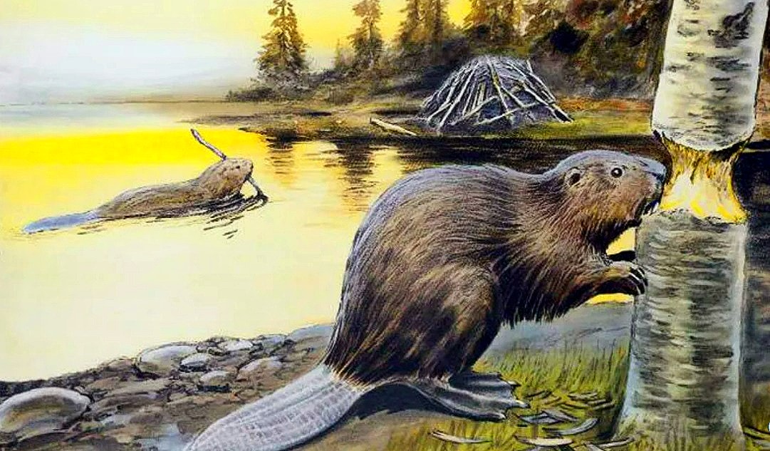 The One Health Story: It’s More Than Infectious Diseases