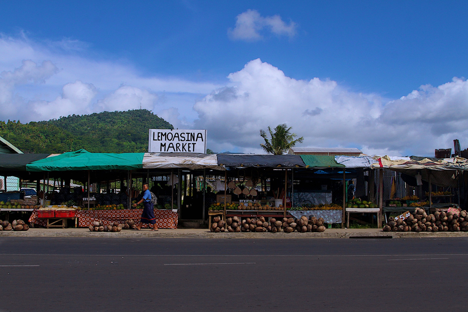 FAO, pacific island, agrifood systems