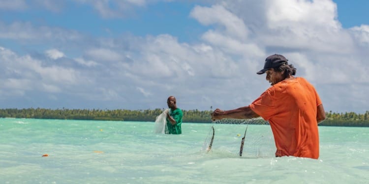 Working Hand in Hand to Build Sustainable Agrifood Systems in the Pacific