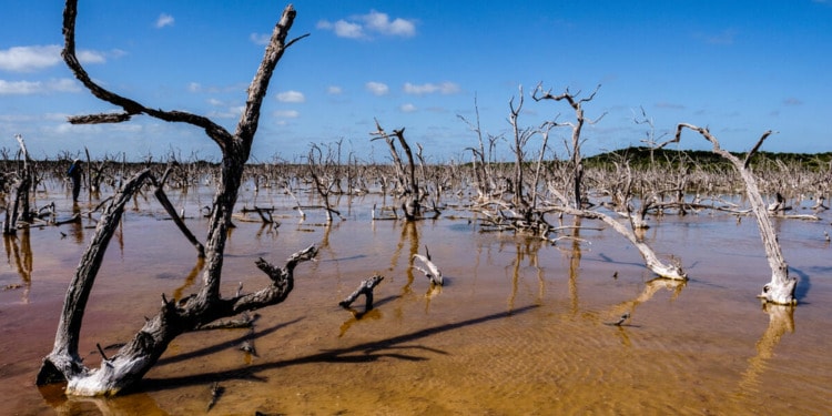 Why UN Climate Science Must Keep Shaping Global Climate Policy