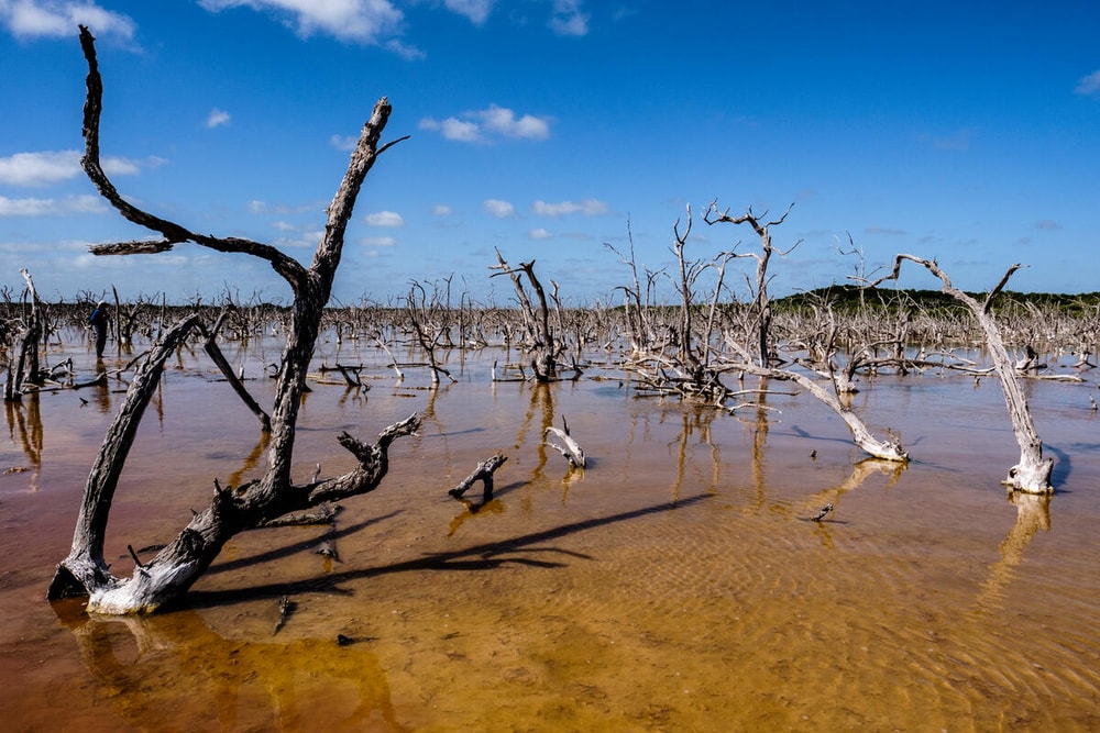 Why UN Climate Science Must Keep Shaping Global Climate Policy