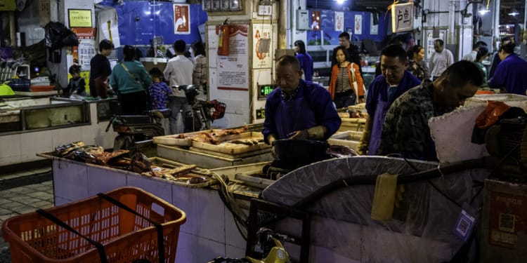 Origin of Covid: A Mystery Resolved?