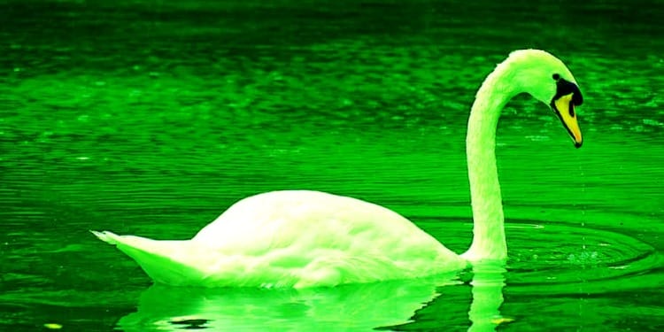 It’s All Green: The Economic Benefits of Environmentalism