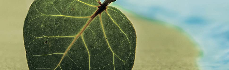 The Climate Debate Has Turned Explosive: From Apocalypse Doom-sayers to Climate Fixers