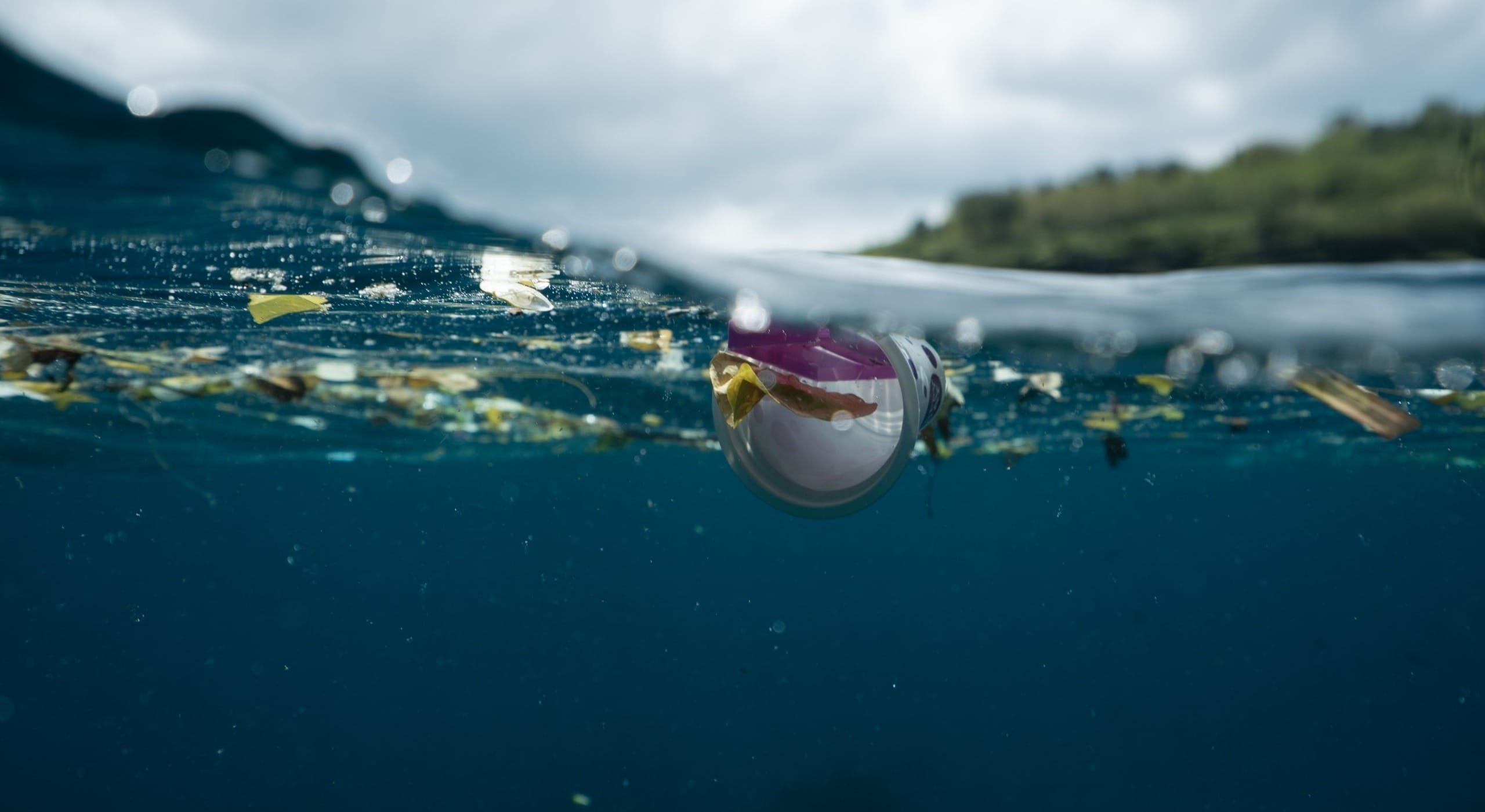 Floating ‘Plastic Smog’ Is Suffocating the Ocean, New Study Finds