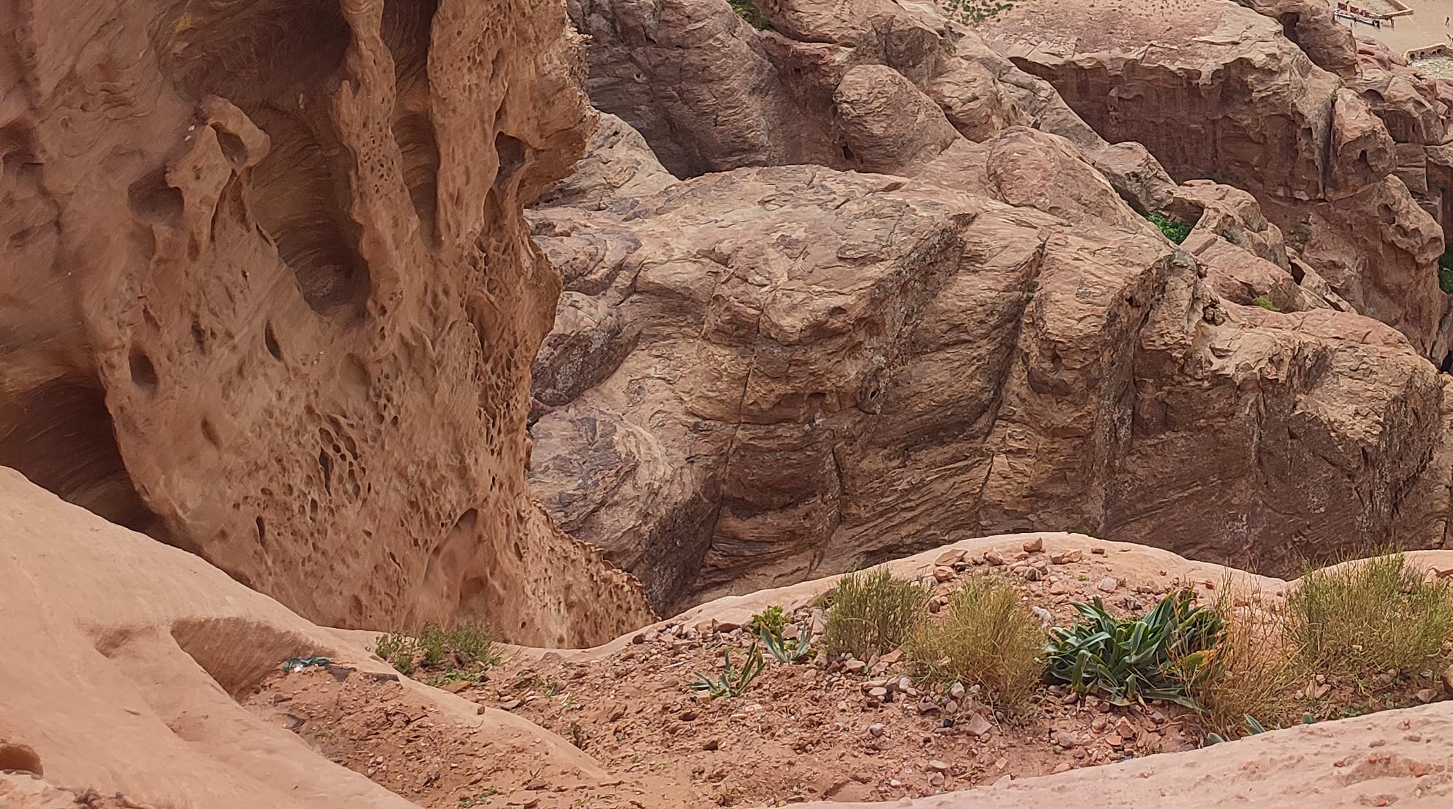 How to Reclaim Our Planet: The Promise of Hemp, Symbiosis and Sustainability