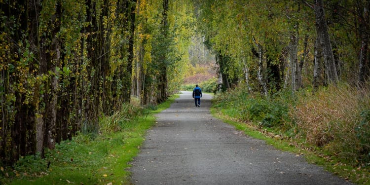 ‘Walk and Earn’ — The Future of Exercise?