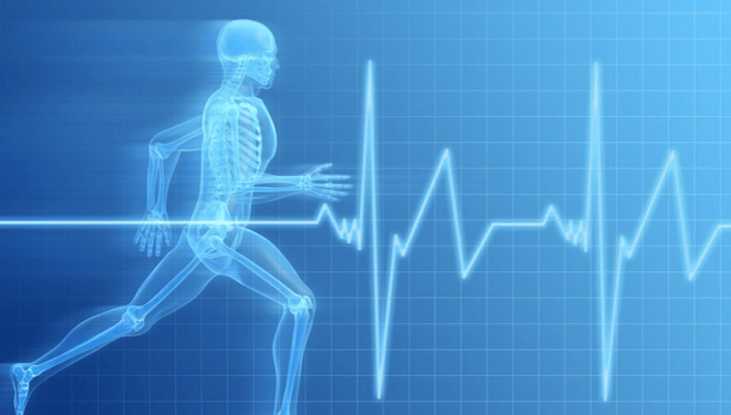 World Health Day 2023 — Health for All