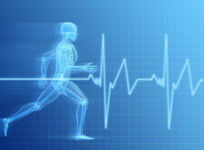 World Health Day 2023 — Health for All