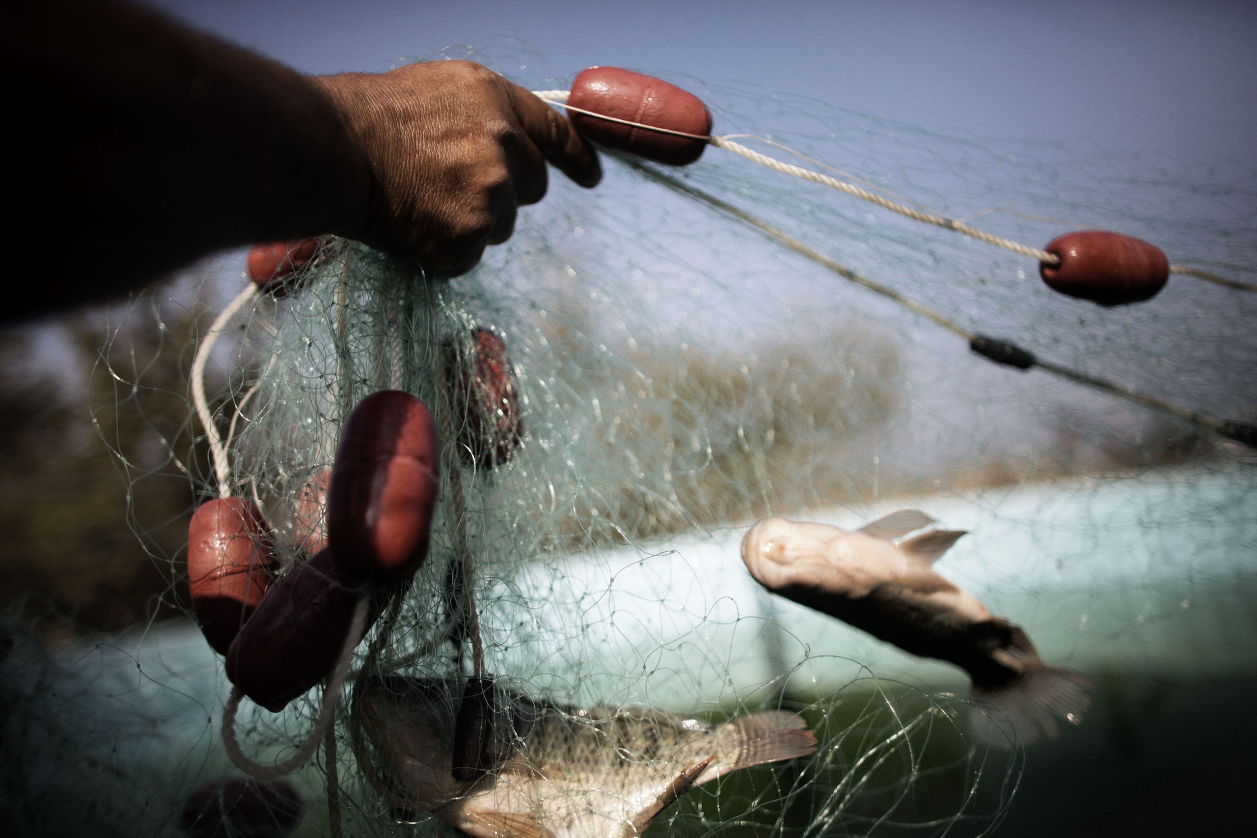 Global Report on Food Crises: Number of People Facing Acute Food Insecurity Rose to 258 Million in 2022