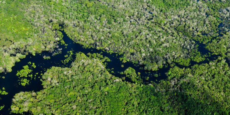 complex vs complicated environments