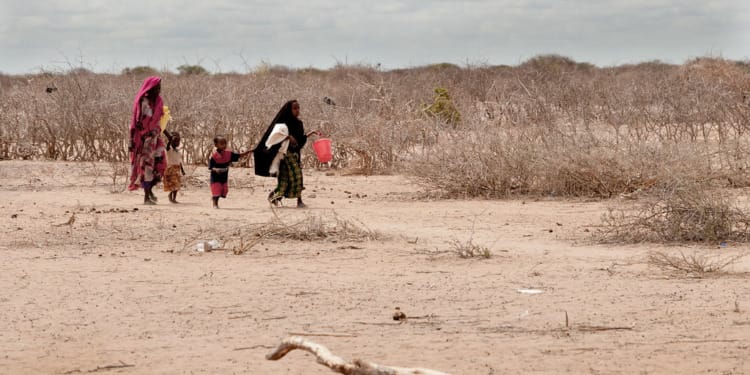 Droughts in East Africa: Stronger and ‘100 Times More Likely’ Due to Climate Change