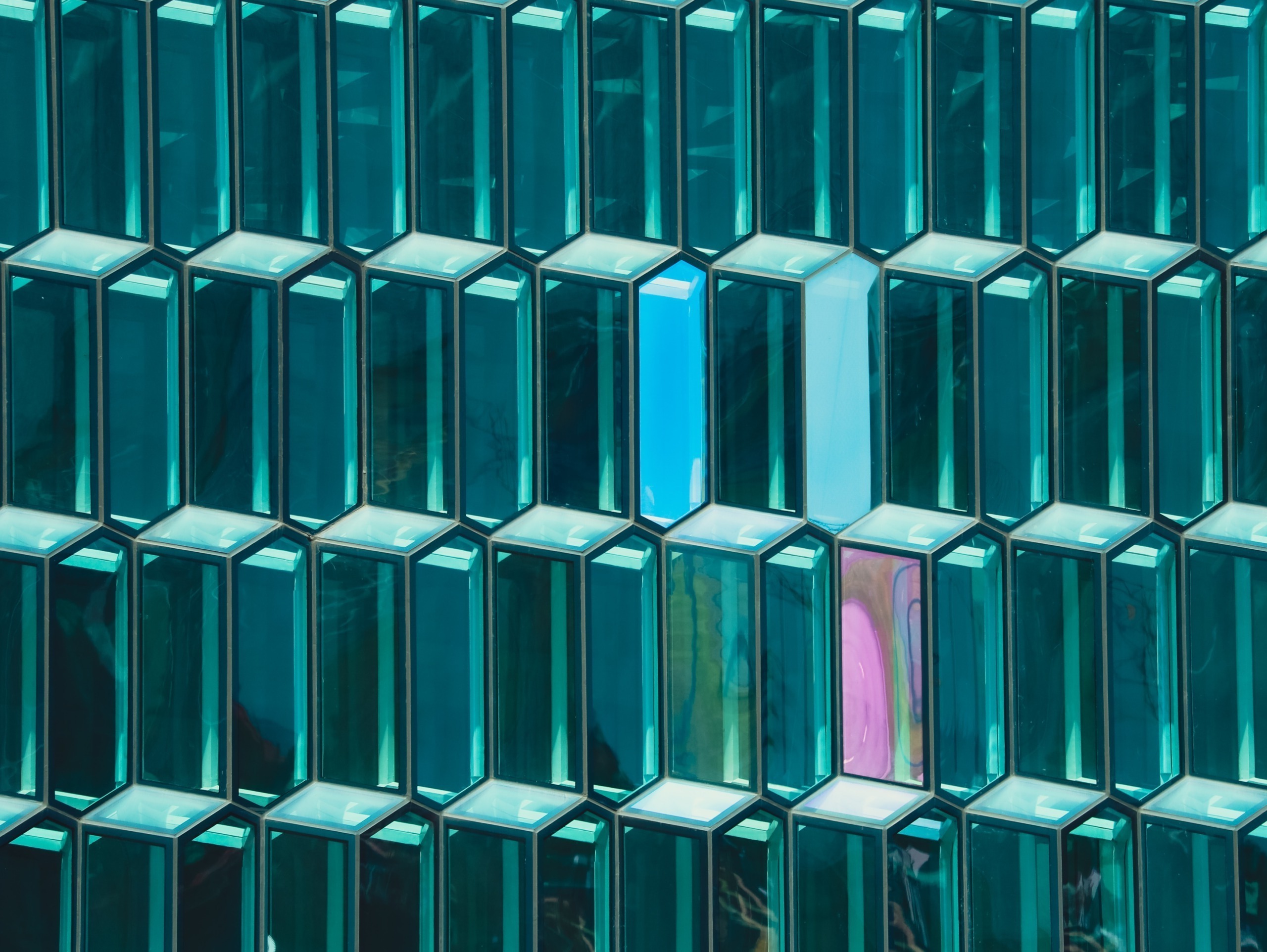 Iceland Innovation Week: A ‘Festival’ of Startups, Creativity and Climate Action