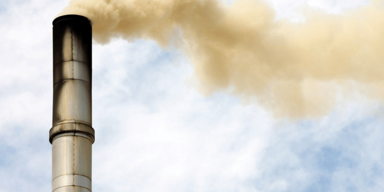 Are Carbon Offset Schemes a Pretext for Big Polluters to Continue Polluting?