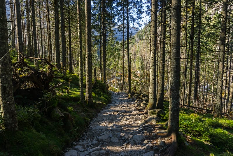 Sustainability News: EU Council Reaches Agreement on Nature Restoration Law