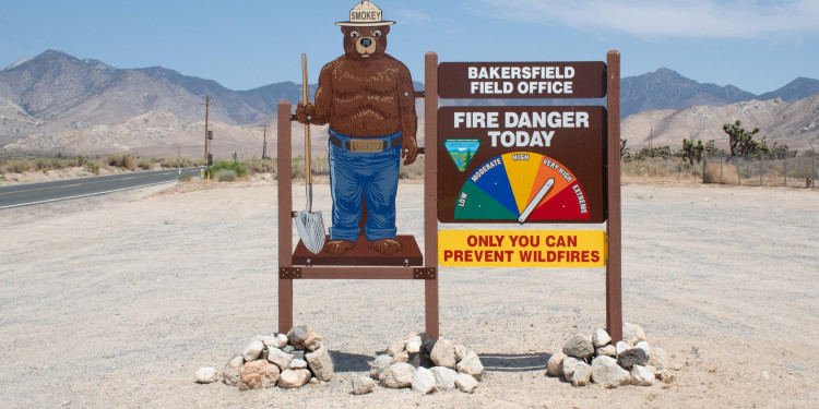 Smokey the Bear sign with risk of wildfires pinwheel