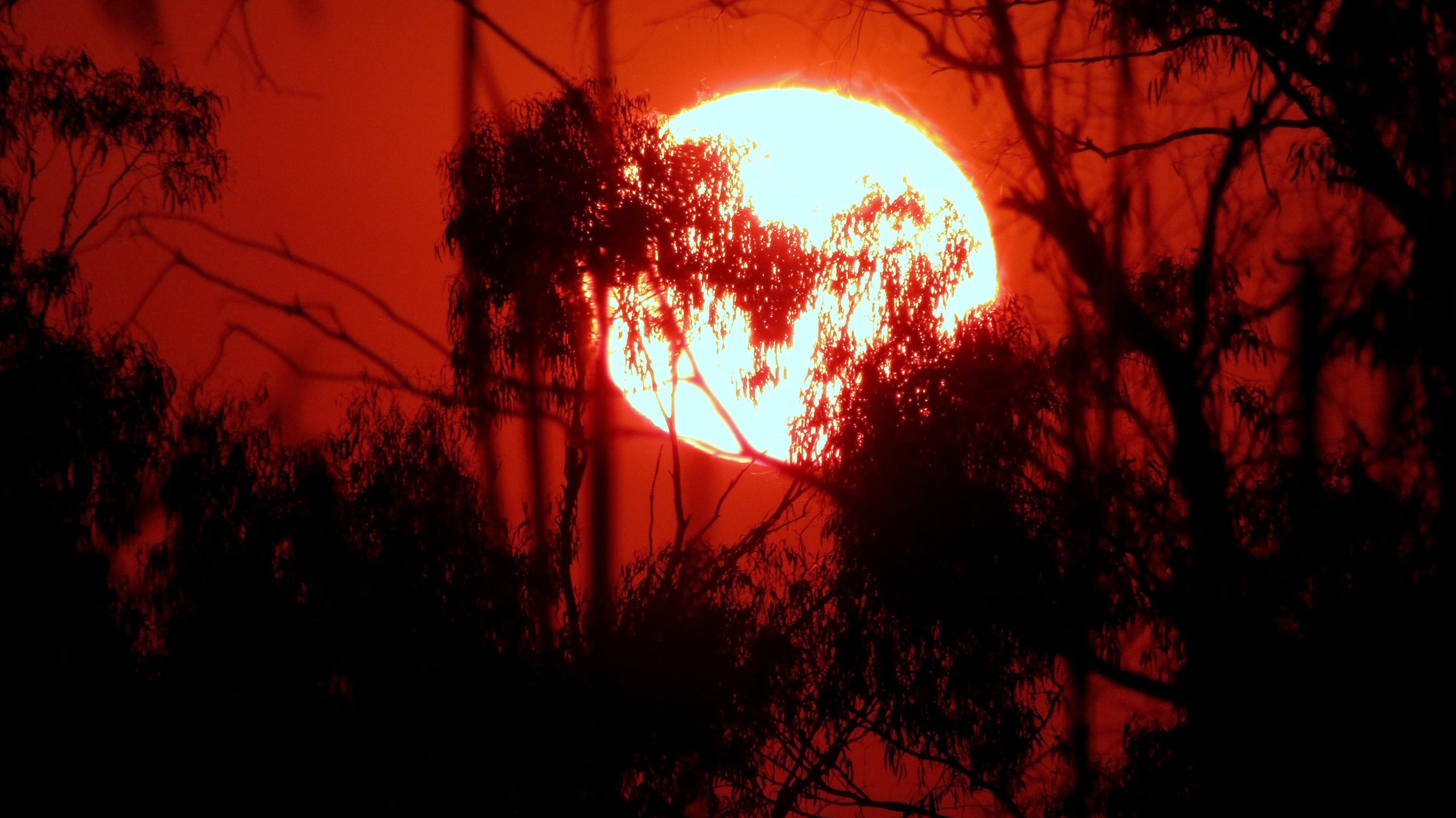 A burning red sun represents the threat of a breach of the After the hottest start to June on record, data shows that the average global temperatures of recent weeks breach the 1.5°C limit in June.