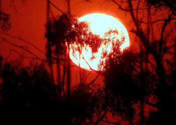 A burning red sun represents the threat of a breach of the After the hottest start to June on record, data shows that the average global temperatures of recent weeks breach the 1.5°C limit in June.