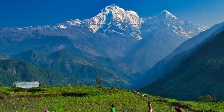 Sustainability Tracker: Himalayan Glaciers Melting Put the Lives of 2 Billion People at Risk