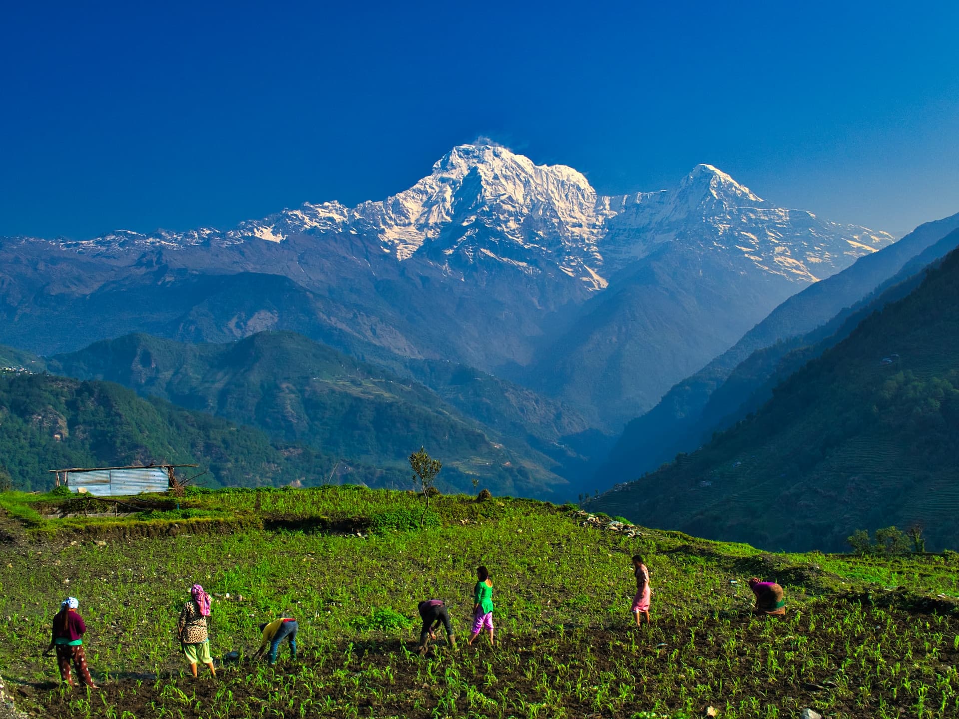 Sustainability Tracker: Himalayan Glaciers Melting Put the Lives of 2 Billion People at Risk