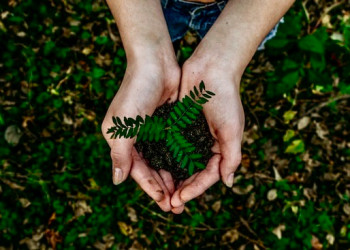 Towards a Manifesto For Restrainability