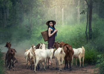 One Health and Gender: Why The Two Need To Become One