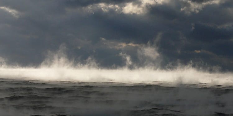 What Is the Gulf Stream and Why Are Scientists Saying it Could Collapse as Early as 2025?