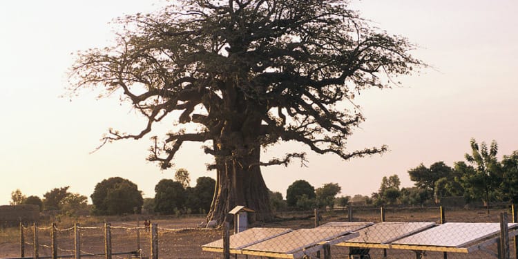 A Just Transition Does Not Leave Anyone Behind: Clean Energy Must Be Worldwide