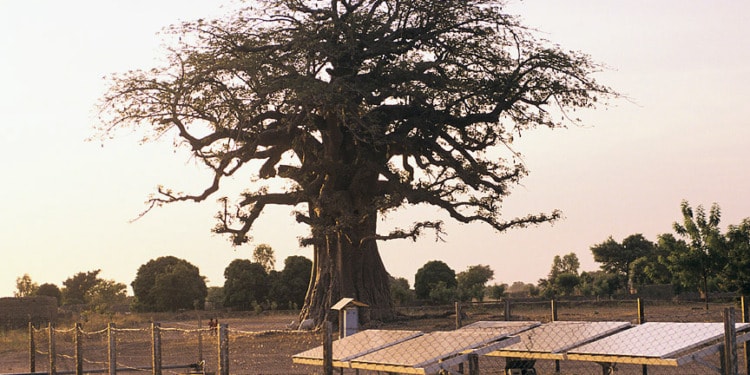 A Just Transition Does Not Leave Anyone Behind: Clean Energy Must Be Worldwide