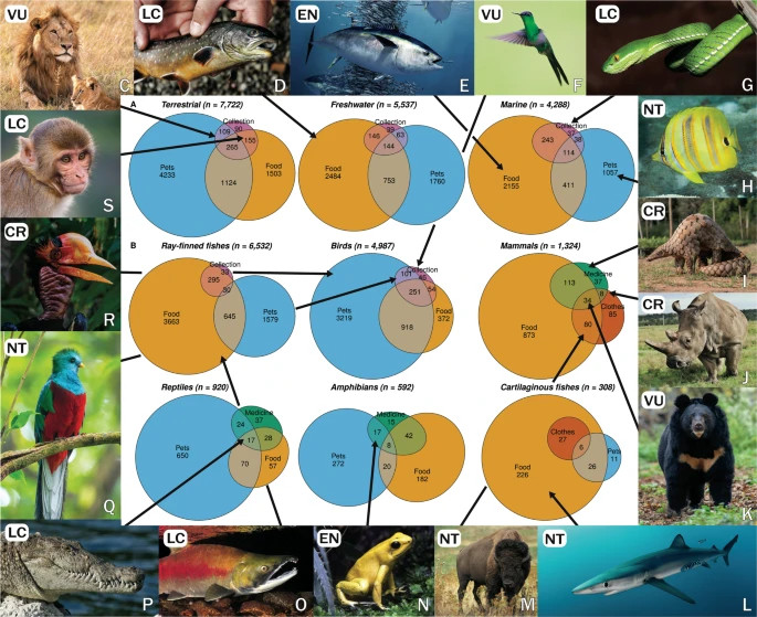 What humans use their prey for