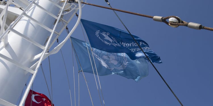 Black Sea Grain Deal: Why Has Russia Backed Out and What Happens Now