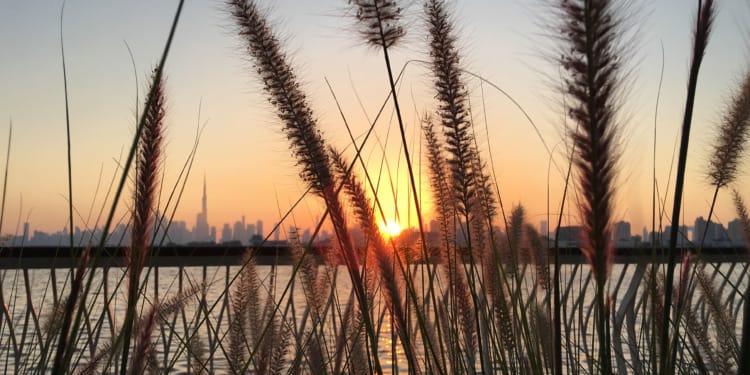 Unveiling Debt-Denominated GDP 