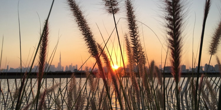 Unveiling Debt-Denominated GDP