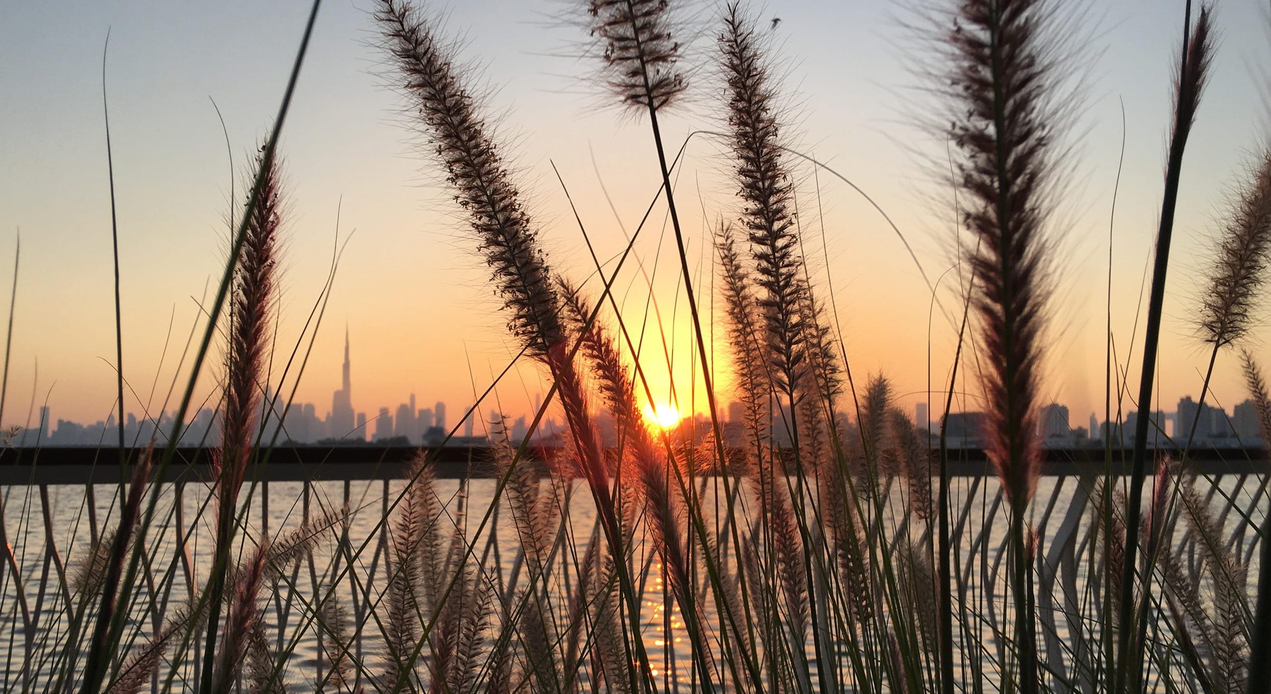 Unveiling Debt-Denominated GDP 