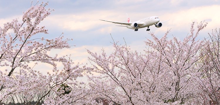 Reinventing Travel: Japan Airlines’ Sustainable Fashion Move