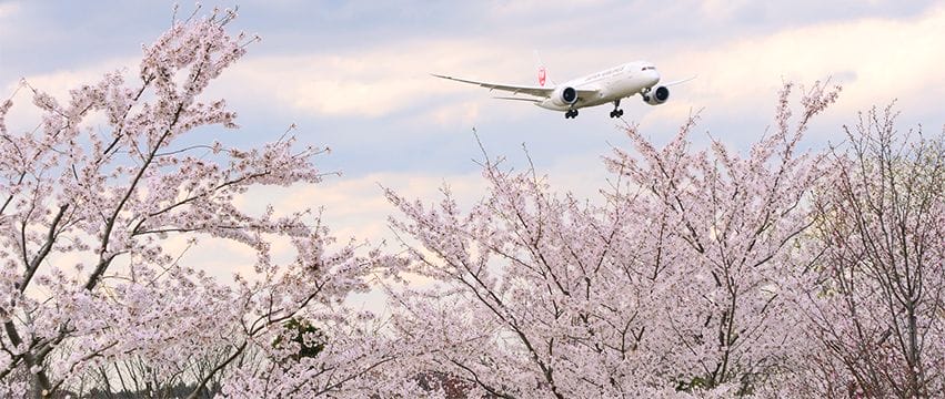 Reinventing Travel: Japan Airlines’ Sustainable Fashion Move