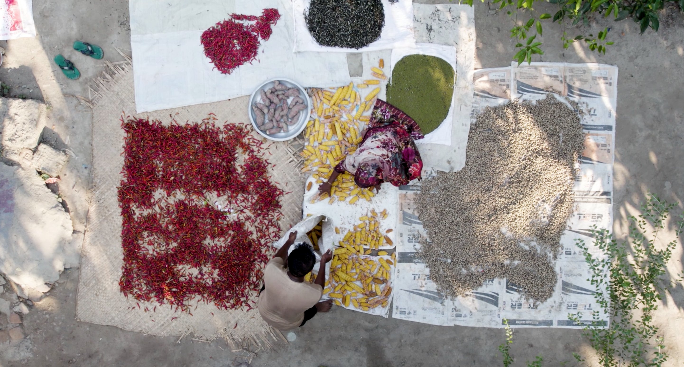 food prices ukraine war