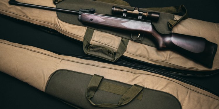 Could US Gun Policy Start to Change?