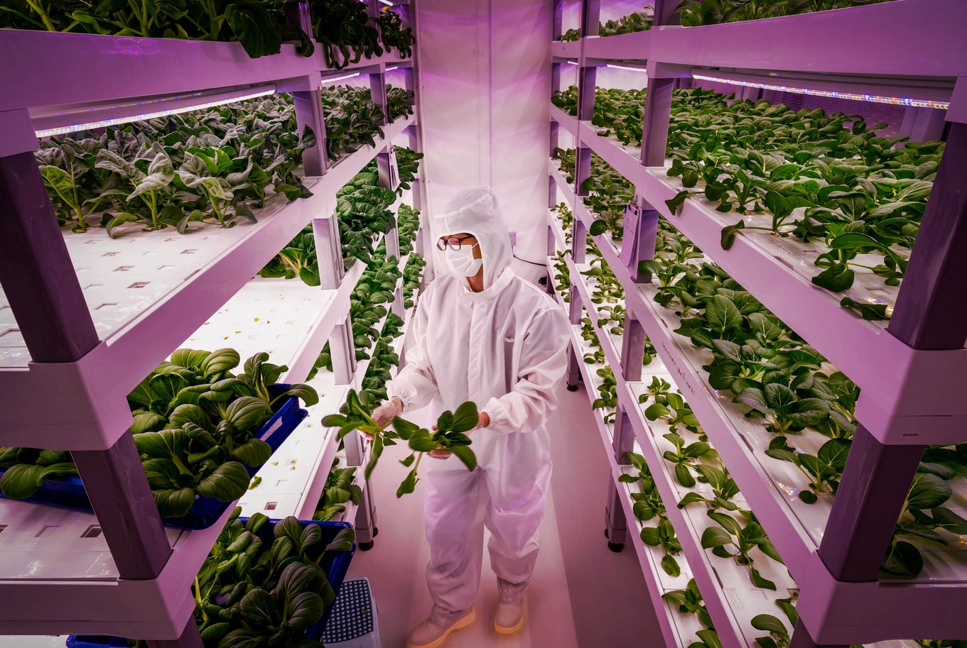 Is Vertical Farming the Solution to World Hunger?