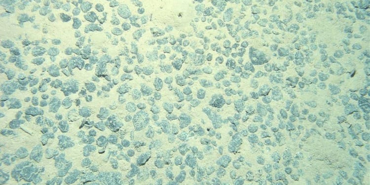 Debunking Deep Sea Mining Myths